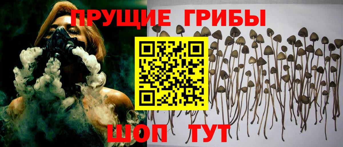 Псилоцибиновые грибы Magic Shrooms Ишим