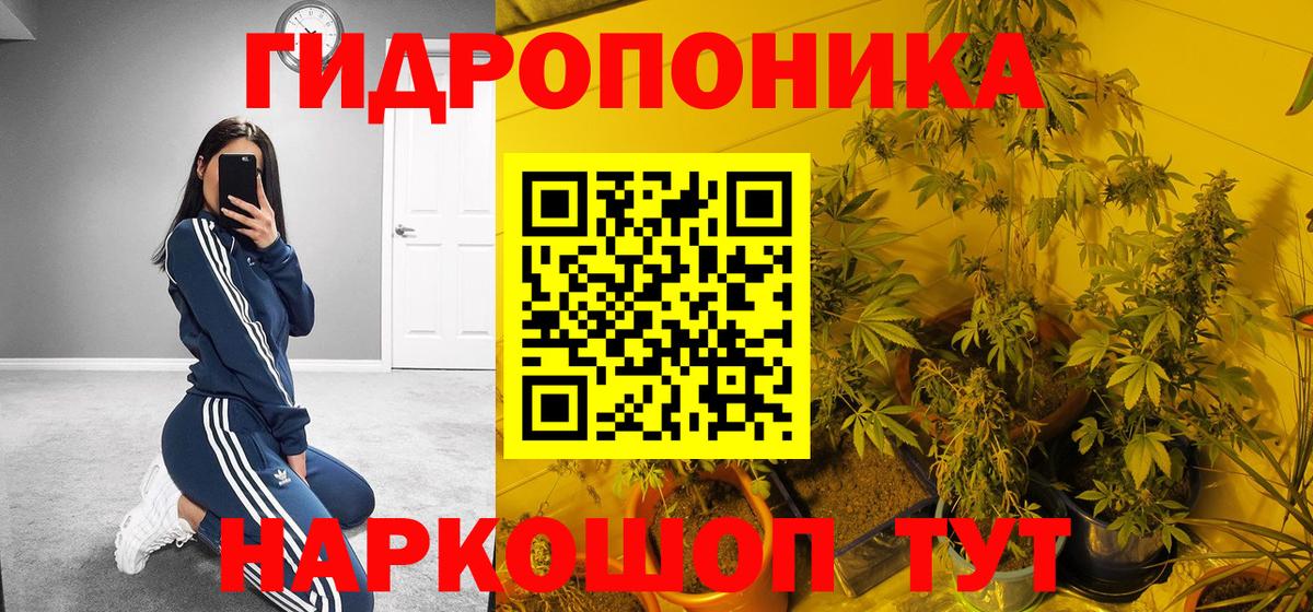 Бошки марихуана THC 21% Ишим